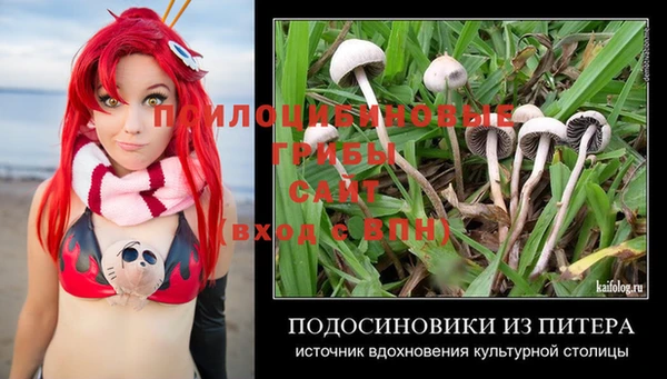 спиды Киренск