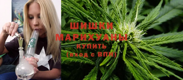 PSILOCYBIN Кинешма
