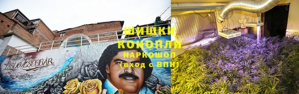 PSILOCYBIN Кинешма