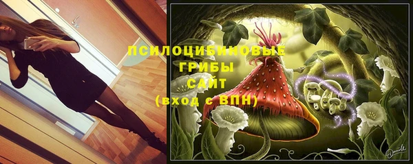 Альфа ПВП Киреевск
