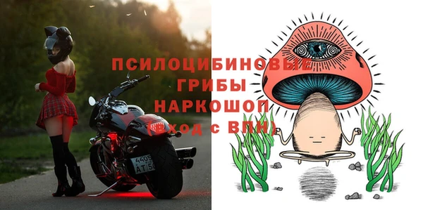 PSILOCYBIN Кинешма