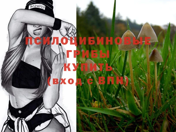 Альфа ПВП Киреевск